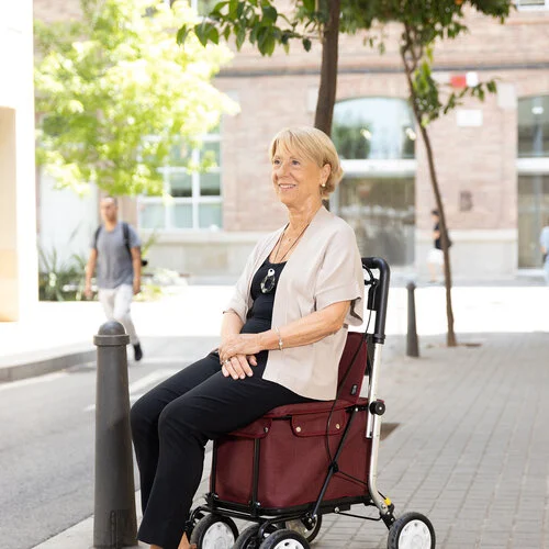 Mobio Carlett Lett900 Rollator und Einkaufswagen